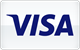 Visa payment method accepted at LuckyHunter Casino